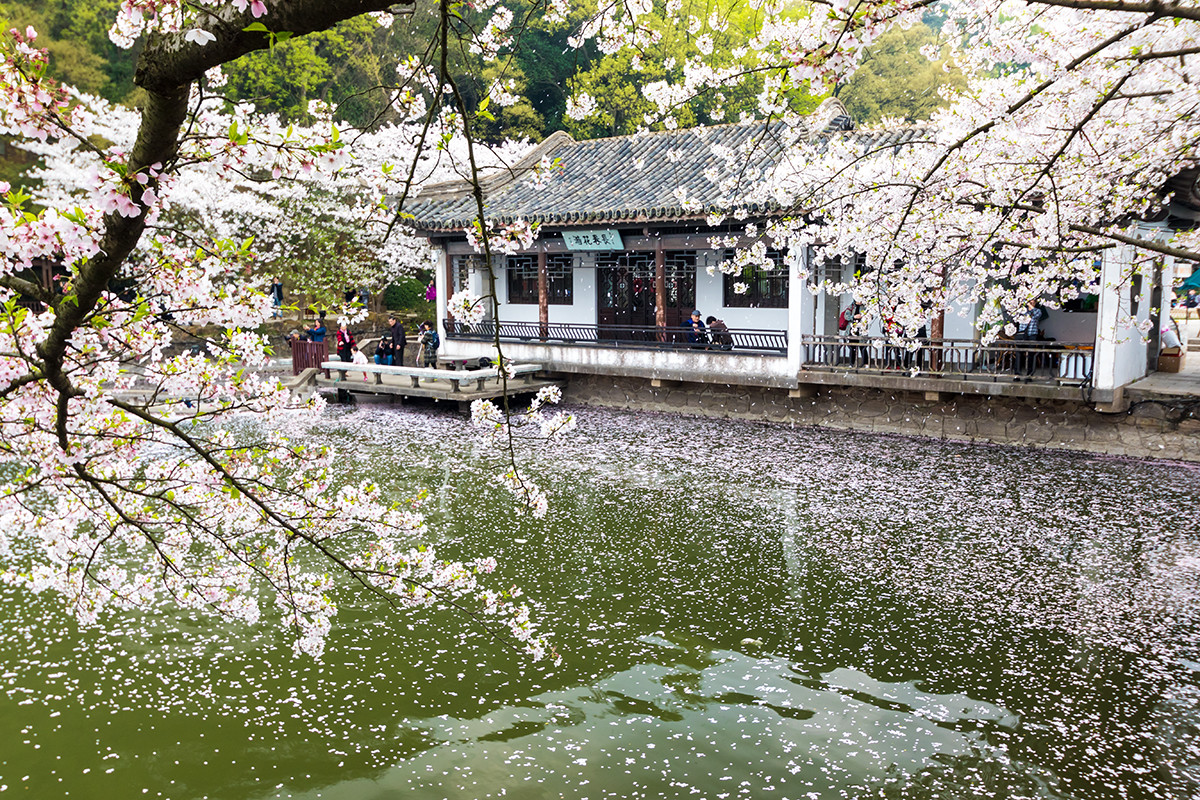 #佳能月赛-人间四月天# ---《落红》