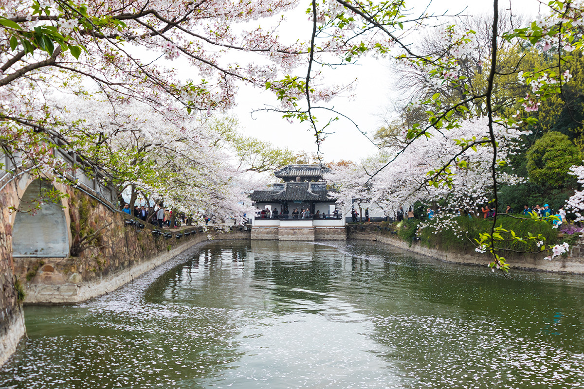 #佳能月赛-人间四月天# ---《落红》