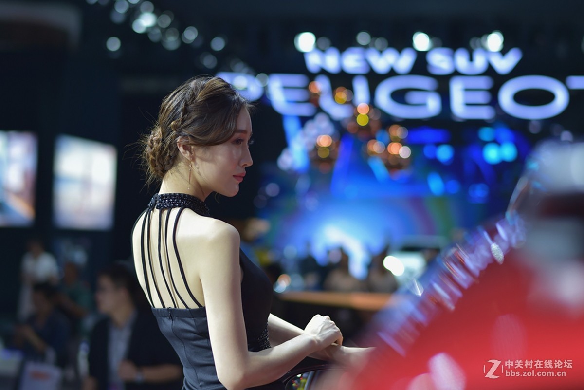 2017广州国际车展（媒体日）车模