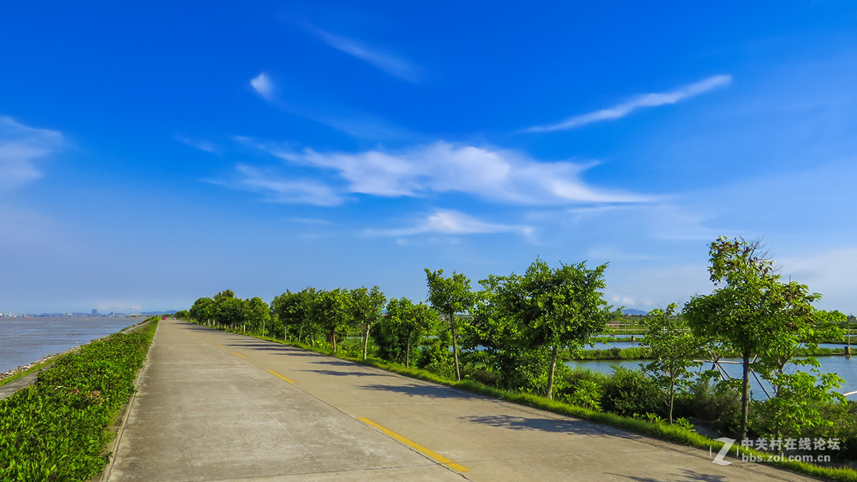 再拍番禺海鸥岛