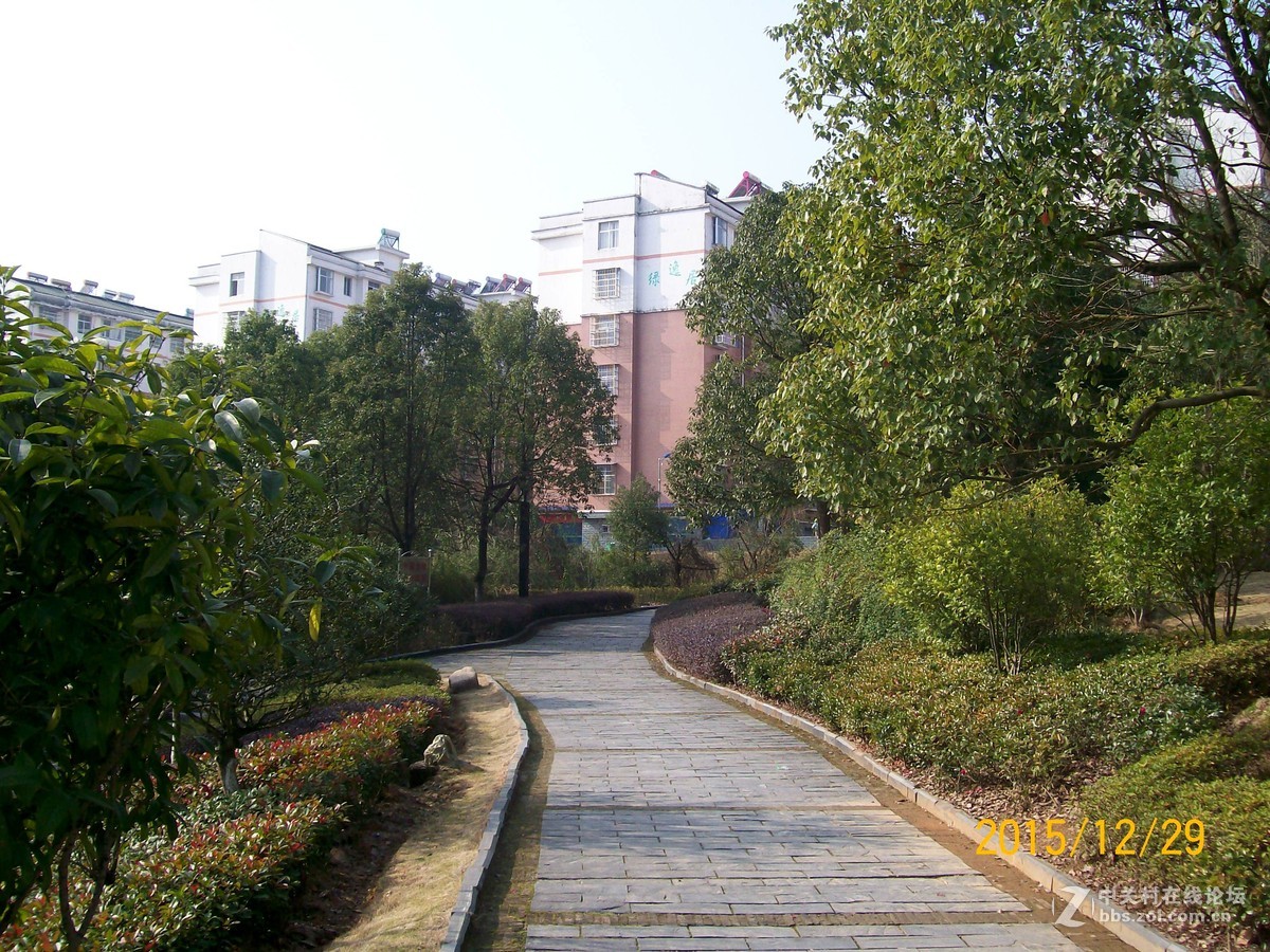 《很有地方特色的小区广场》              随意拍摄