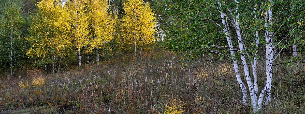 2015金秋乌兰布统------北沟［兼请假帖］