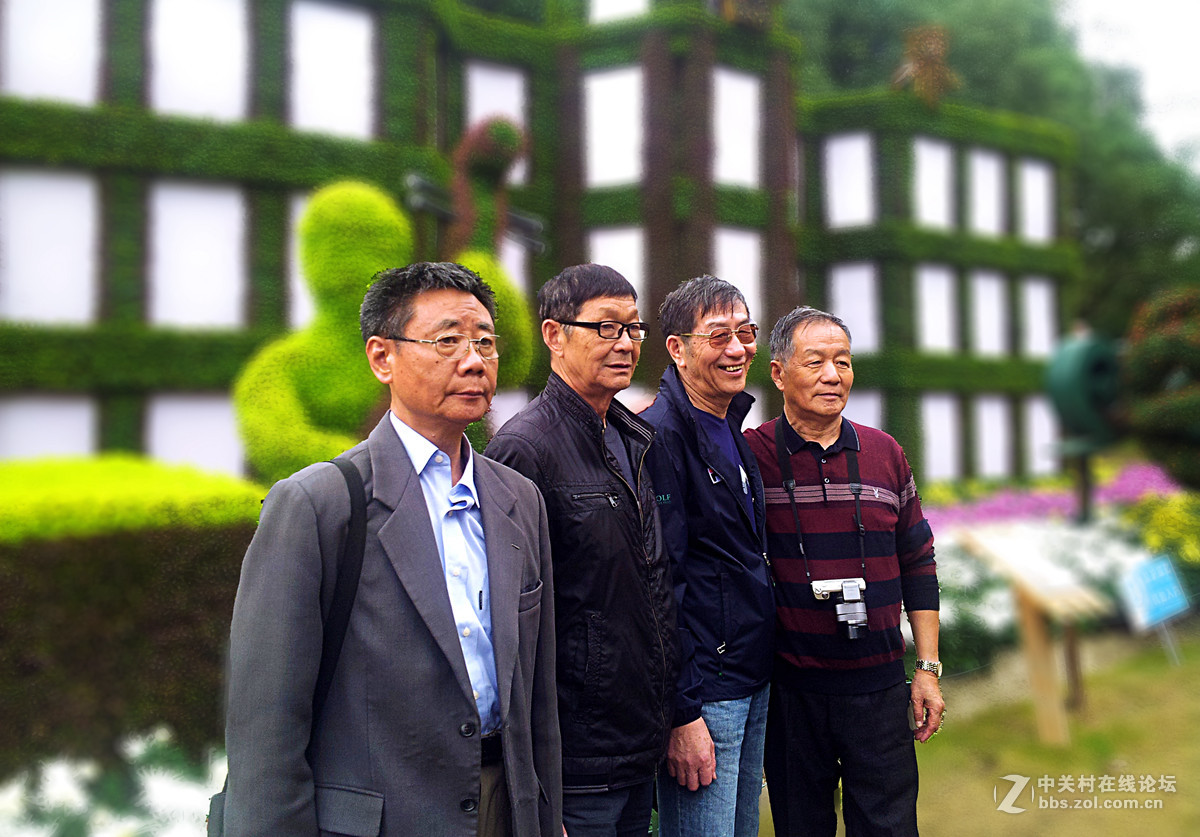 全民摄影 菊花展手机人物随拍