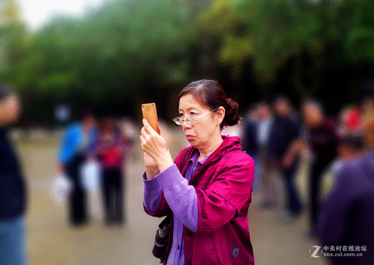 全民摄影 菊花展手机人物随拍