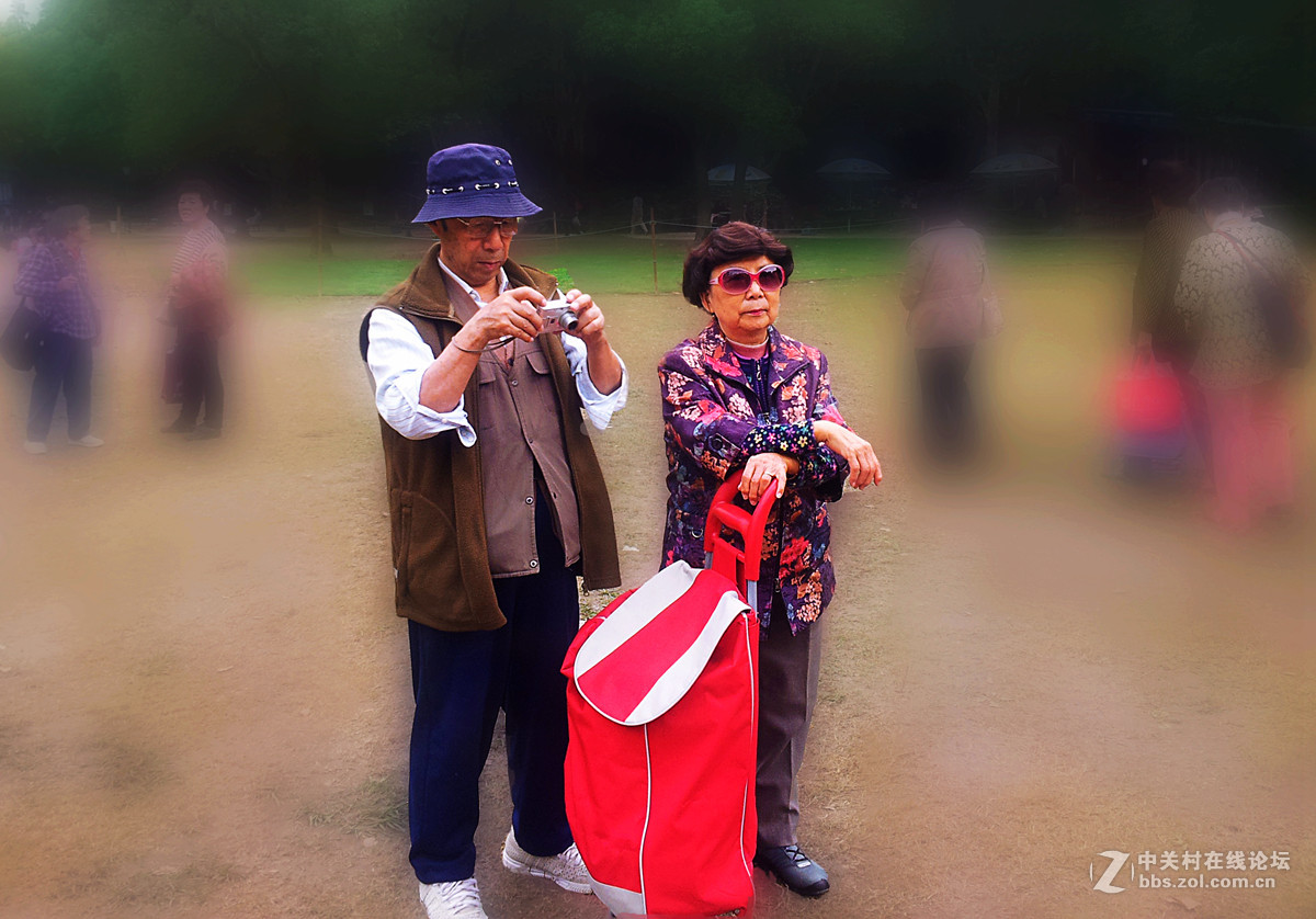 全民摄影 菊花展手机人物随拍