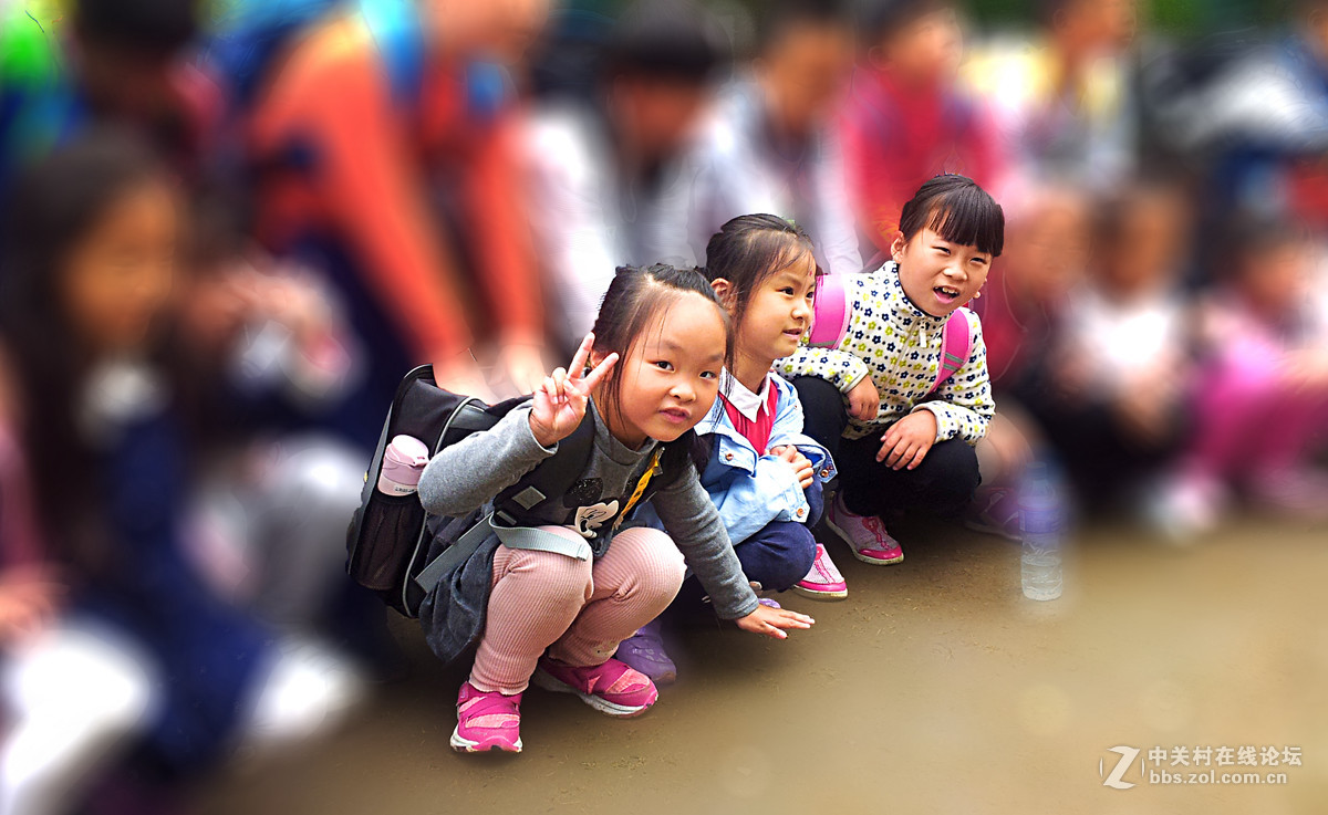 全民摄影 菊花展手机人物随拍