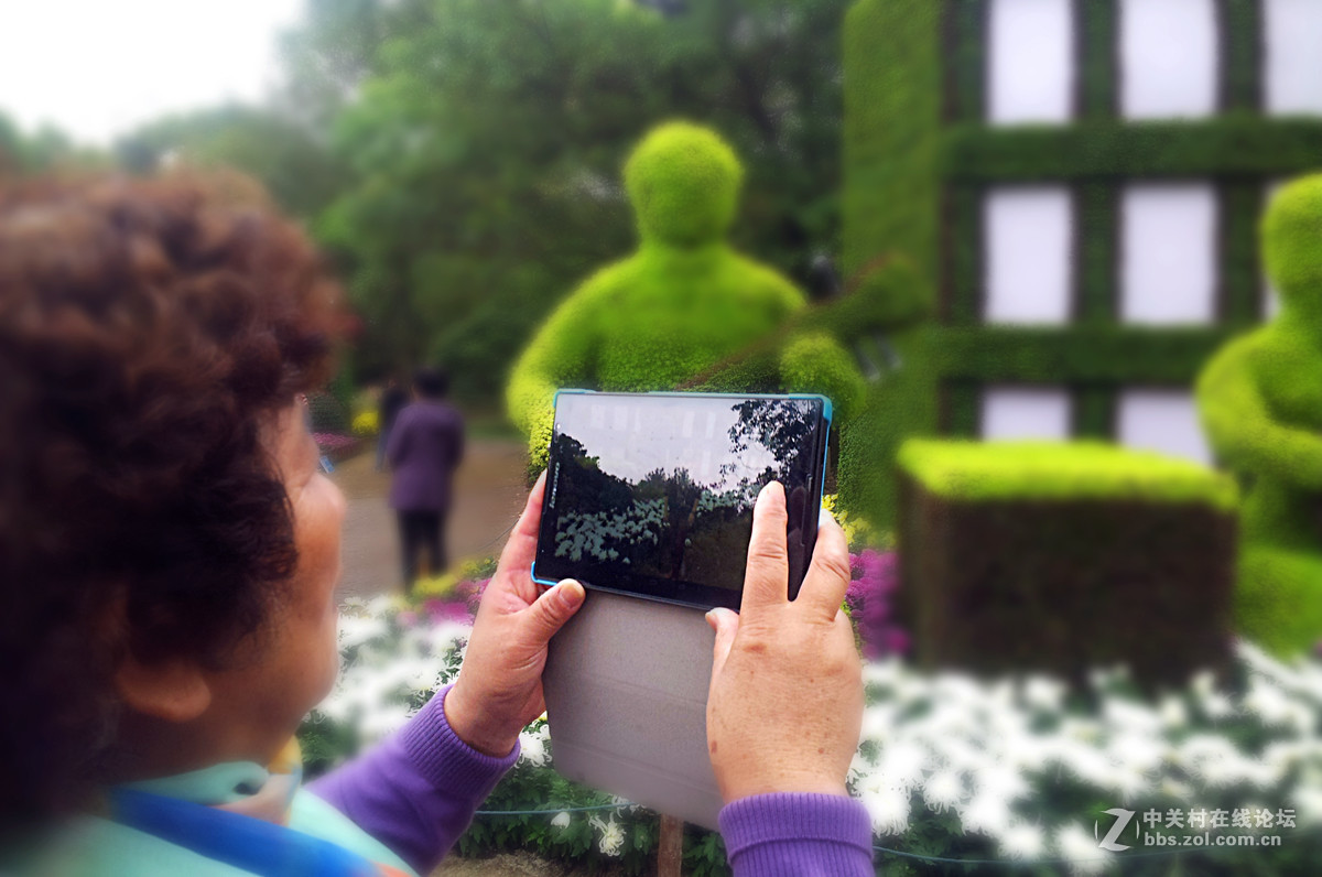 全民摄影 菊花展手机人物随拍