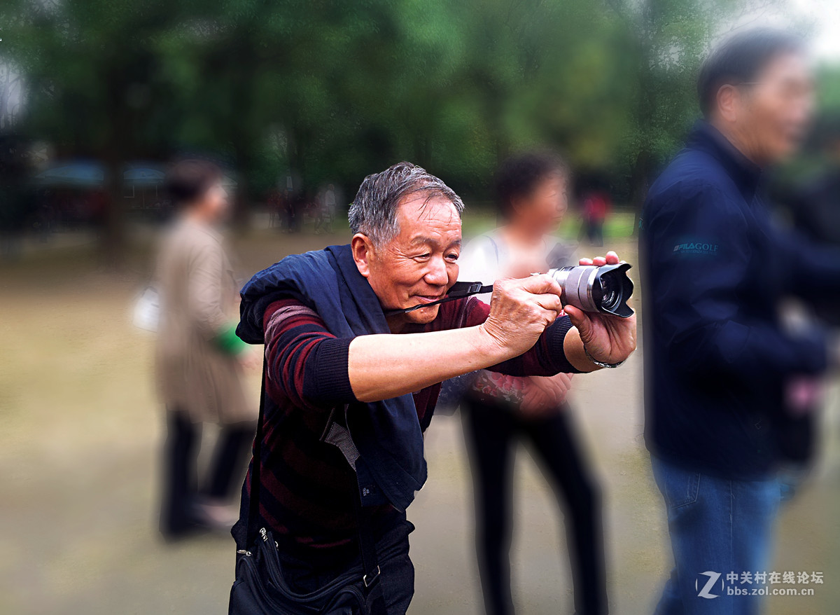 全民摄影 菊花展手机人物随拍