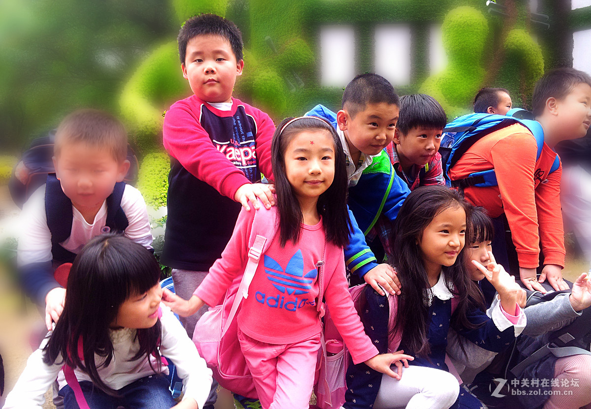 全民摄影 菊花展手机人物随拍