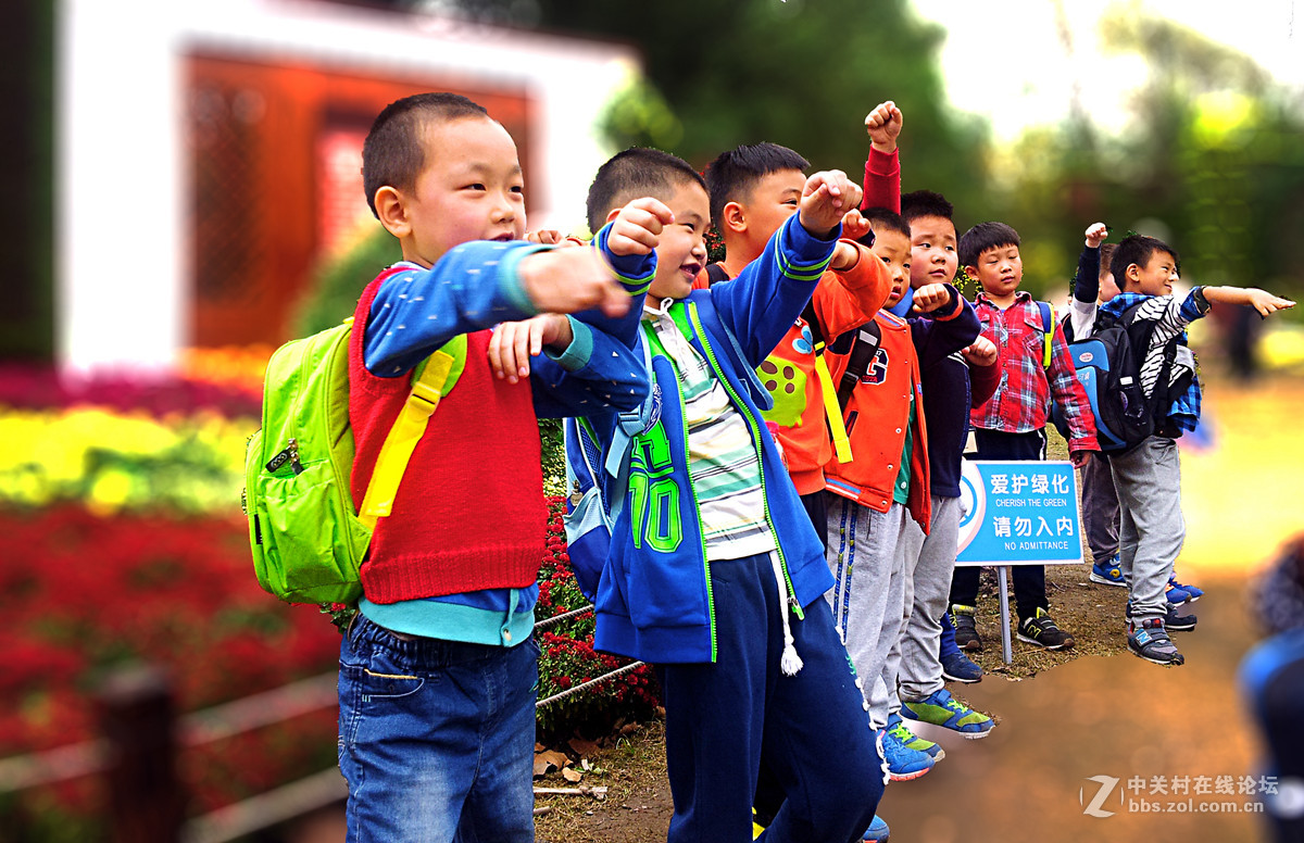 全民摄影 菊花展手机人物随拍