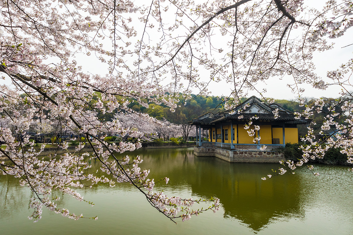 #佳能月赛-人间四月天# ---《落红》