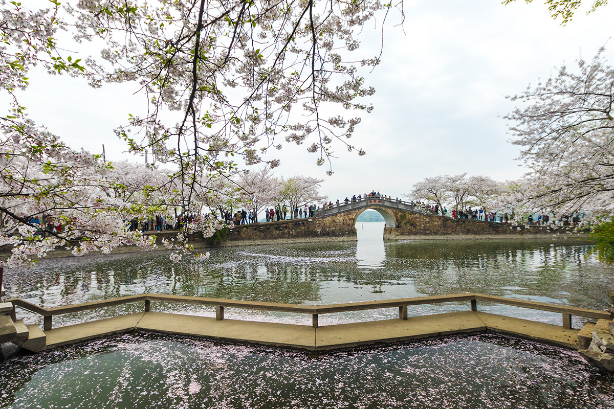 #佳能月赛-人间四月天# ---《落红》