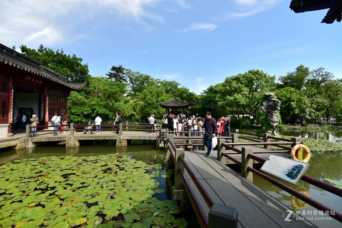 杭州西湖小瀛洲美丽风景
