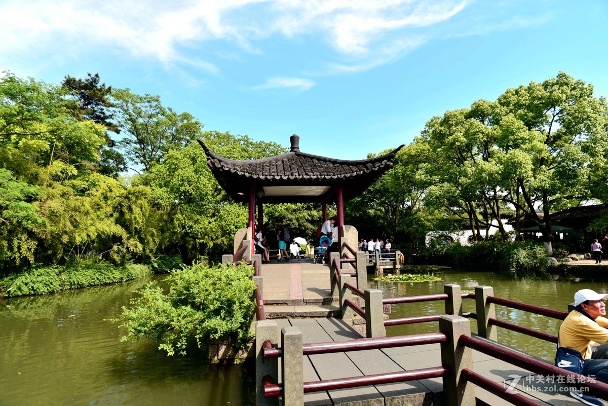 杭州西湖小瀛洲美丽风景