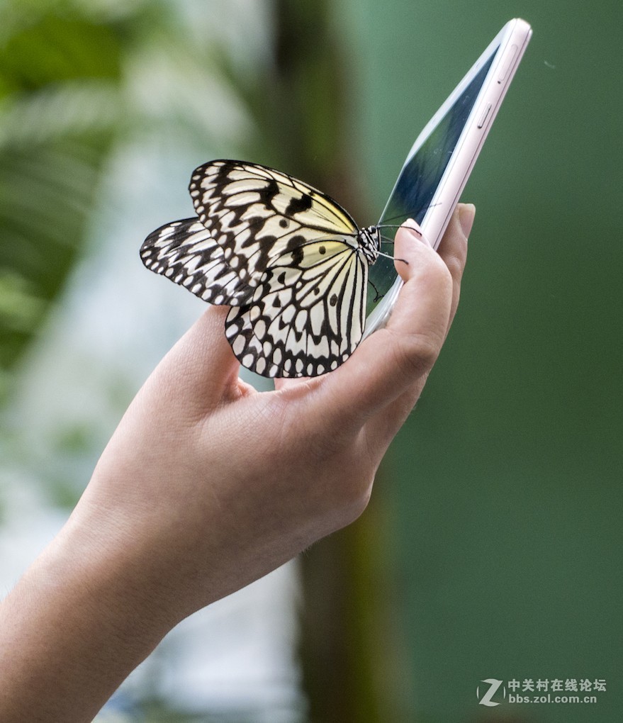 微单长焦镜拍摄体验