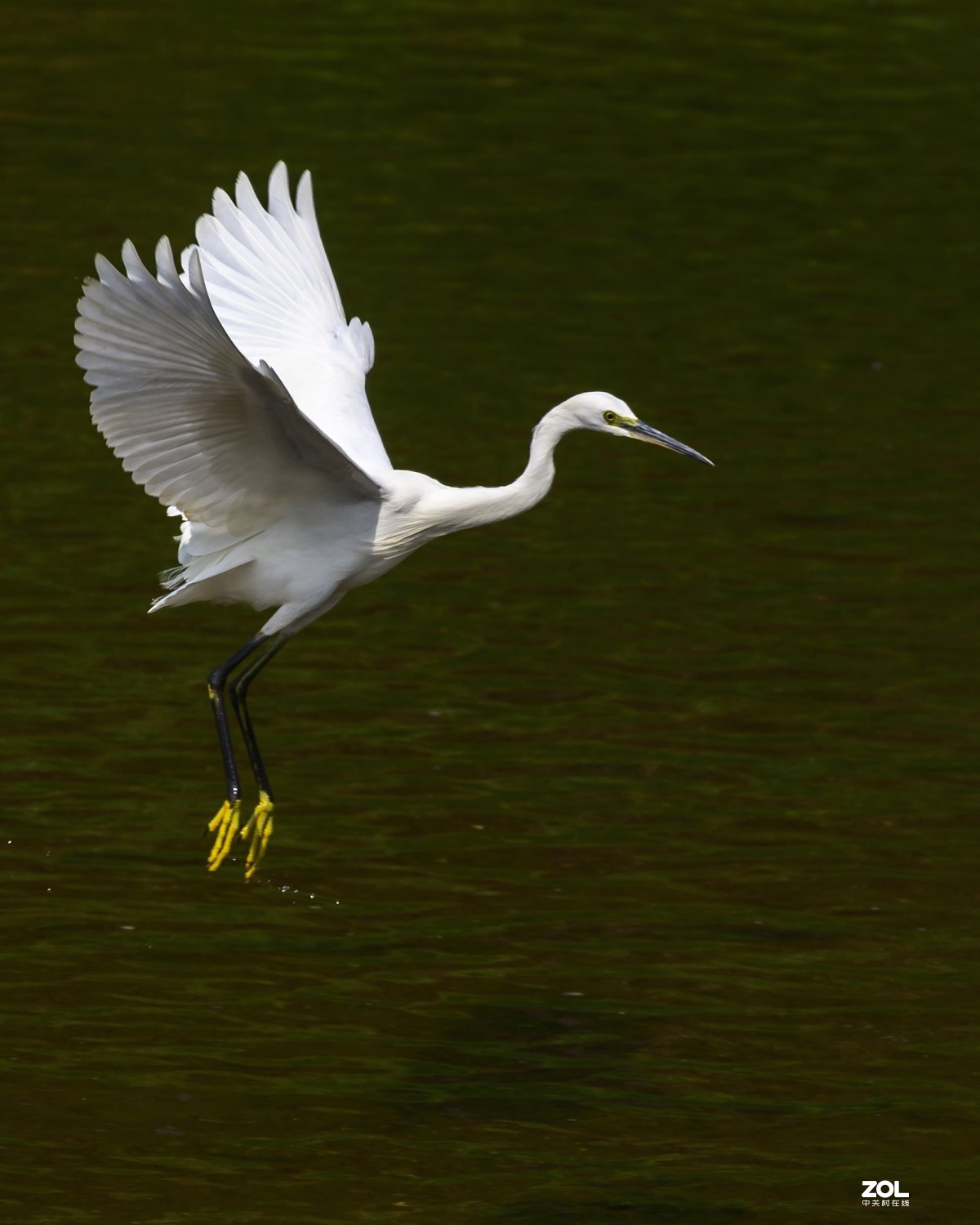 深圳龙岗河周末小景