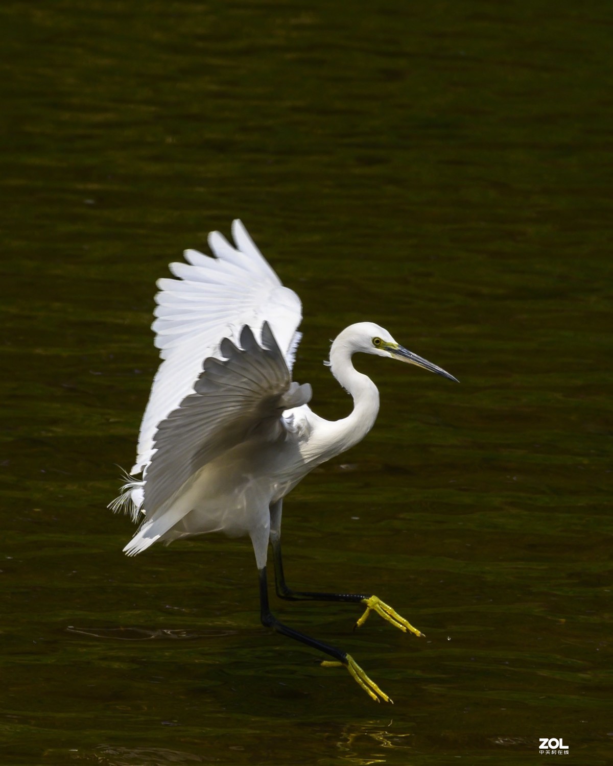深圳龙岗河周末小景