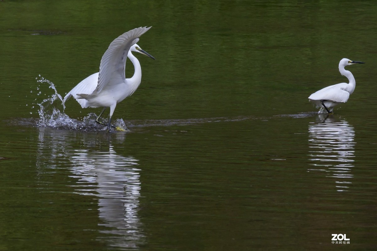 深圳龙岗河周末小景
