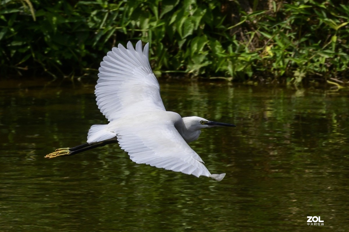 深圳龙岗河周末小景