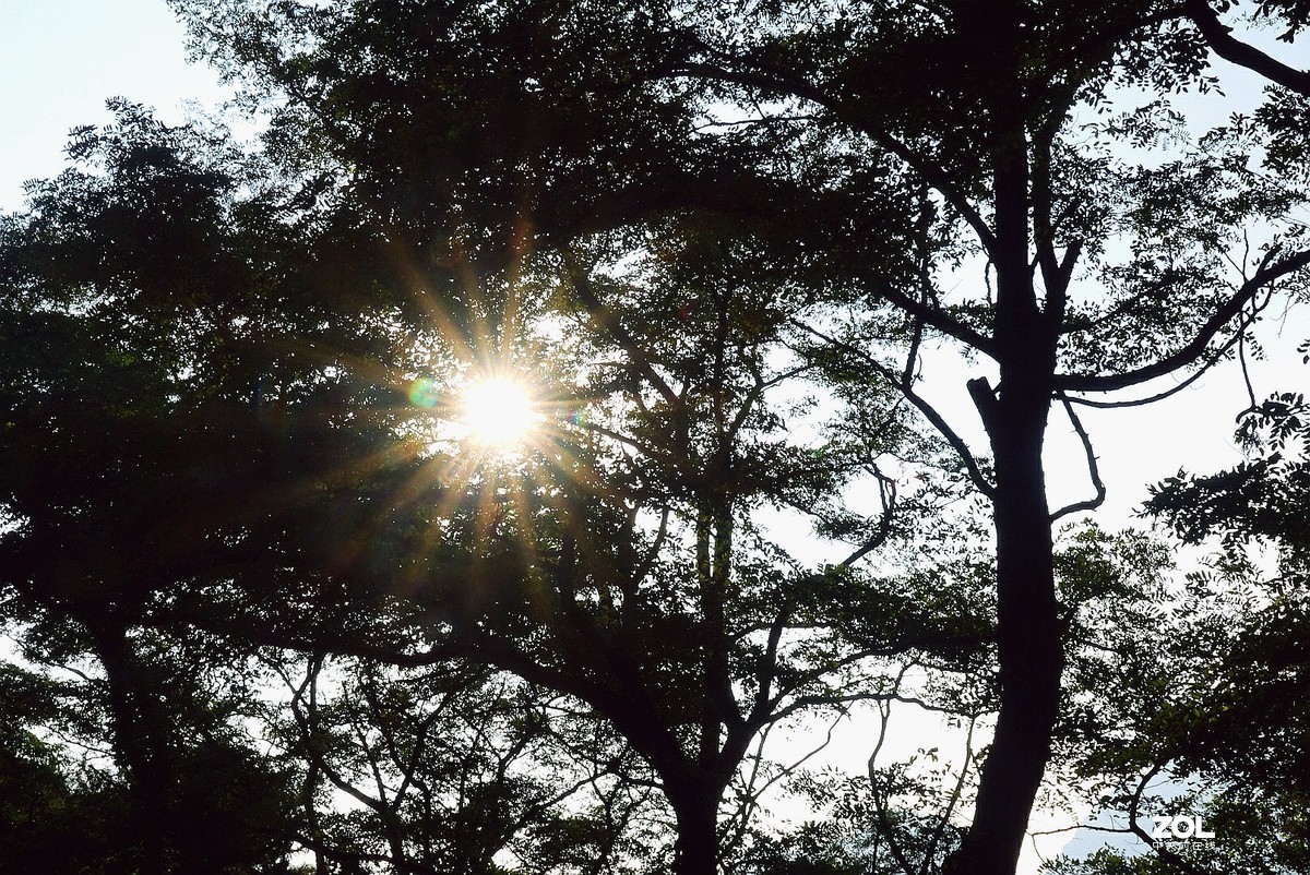 爬泰山《8》完结篇