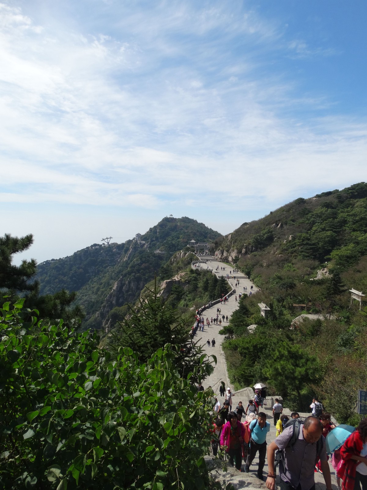 五月至尊 泰山一日遊