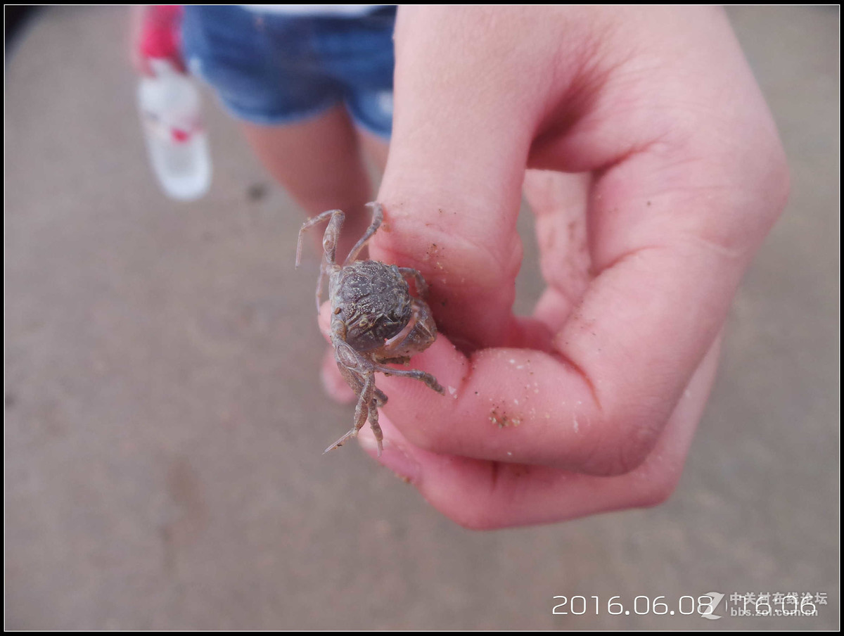 星空体育平台GC100已经满足不了我！