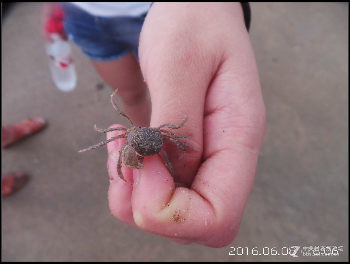 星空体育平台GC100已经满足不了我！