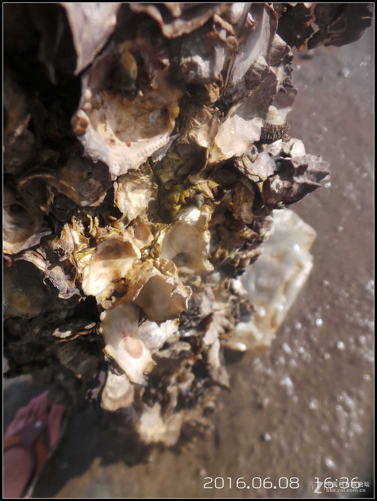 星空体育平台GC100已经满足不了我！