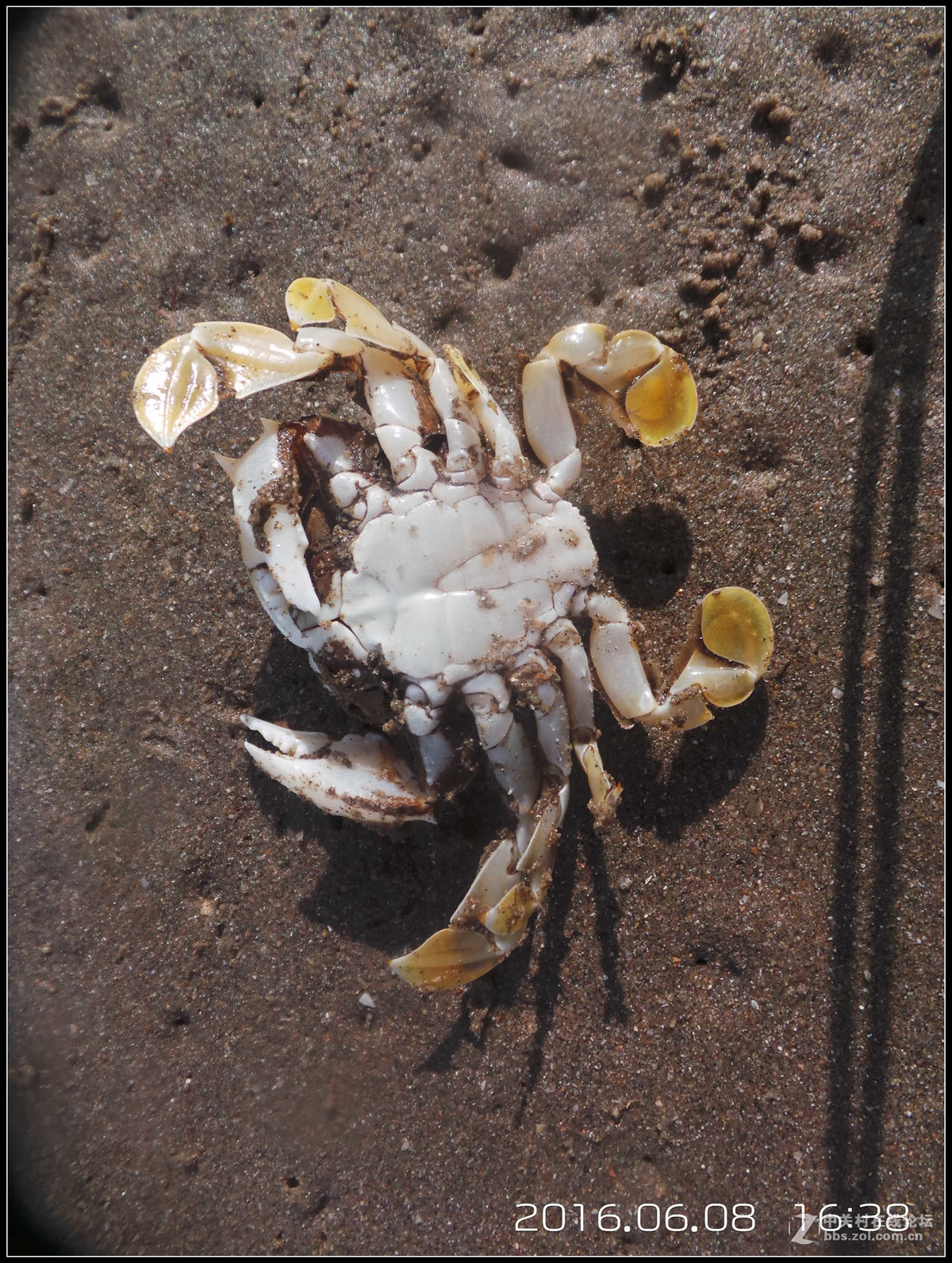 星空体育平台GC100已经满足不了我！