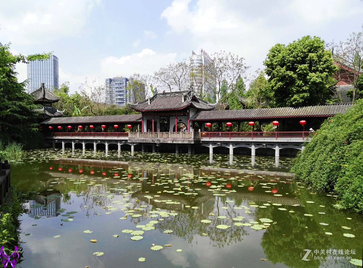 成都文化公园随拍