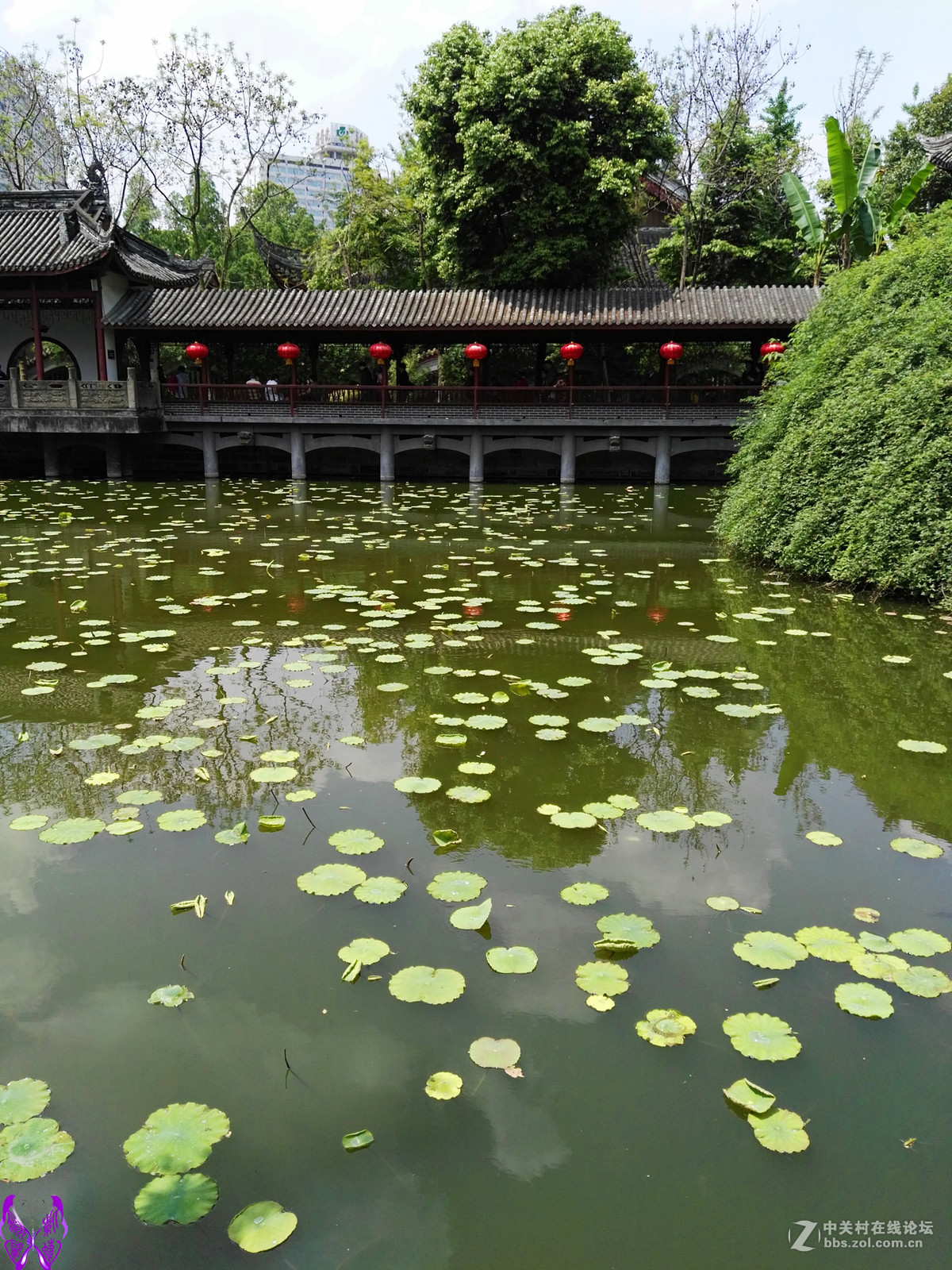 成都文化公园随拍