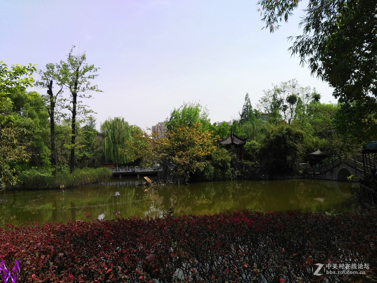 成都文化公园随拍