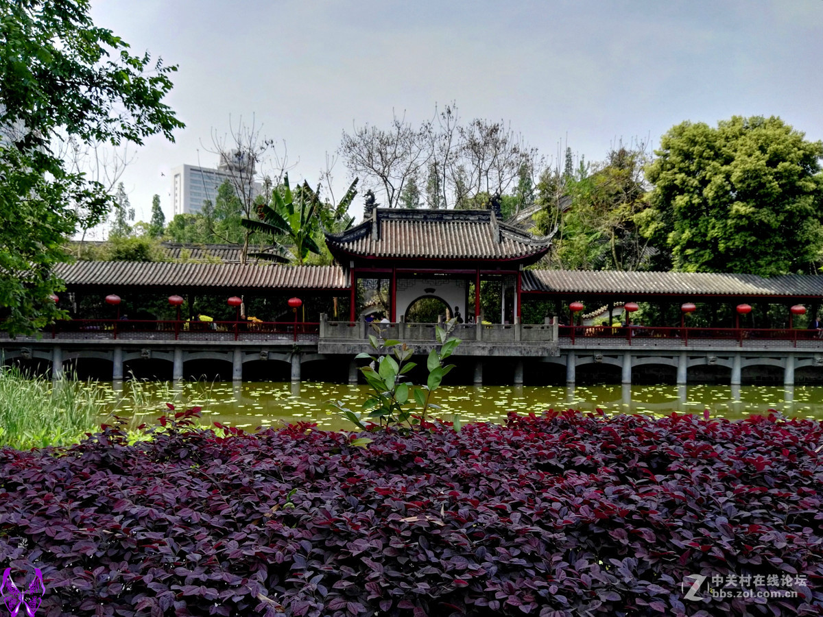 成都文化公园随拍