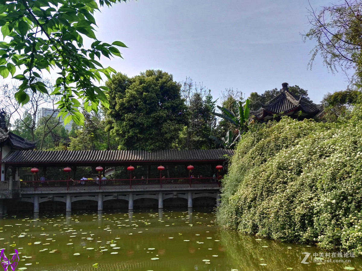 成都文化公园随拍