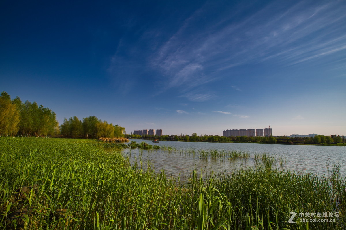 洋湖公園春季風景5