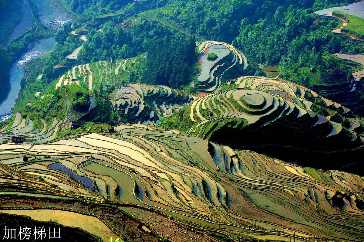 贵州加榜梯田