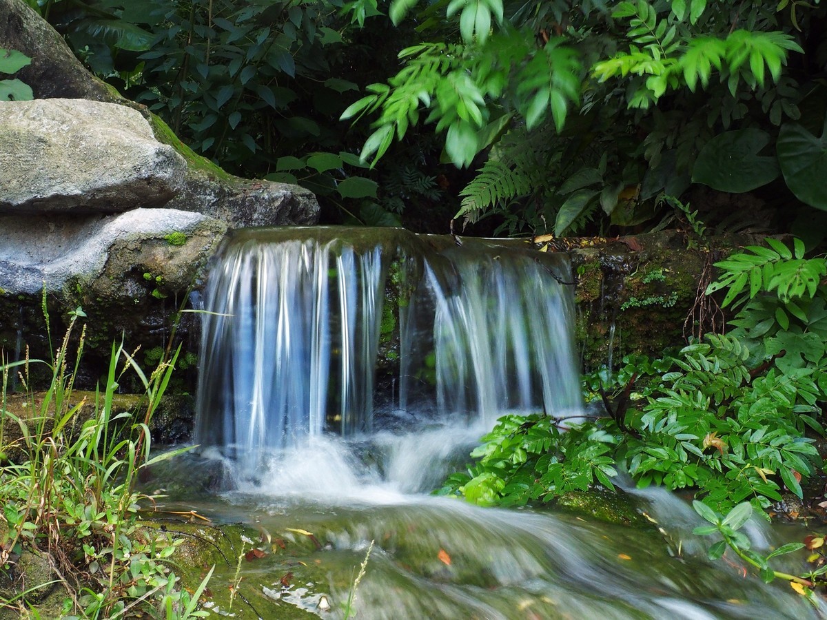 午后的云台花园