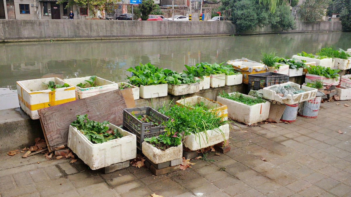 BlackBerry Z10 京杭古运河