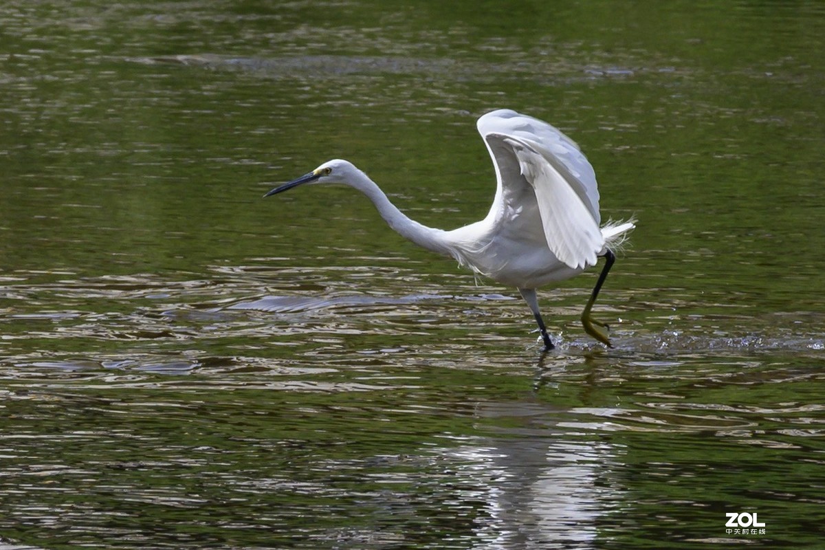 深圳龙岗河周末小景