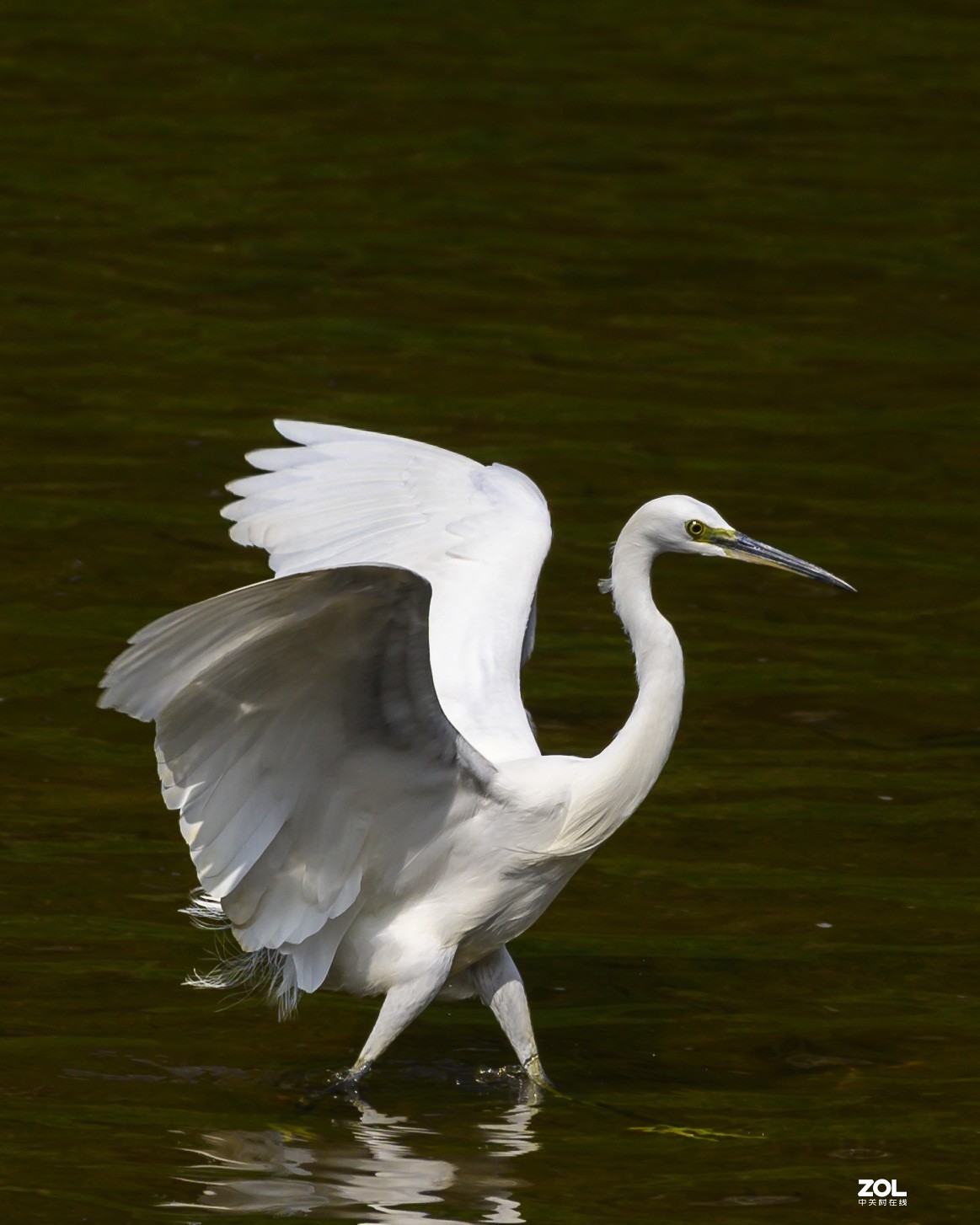 深圳龙岗河周末小景