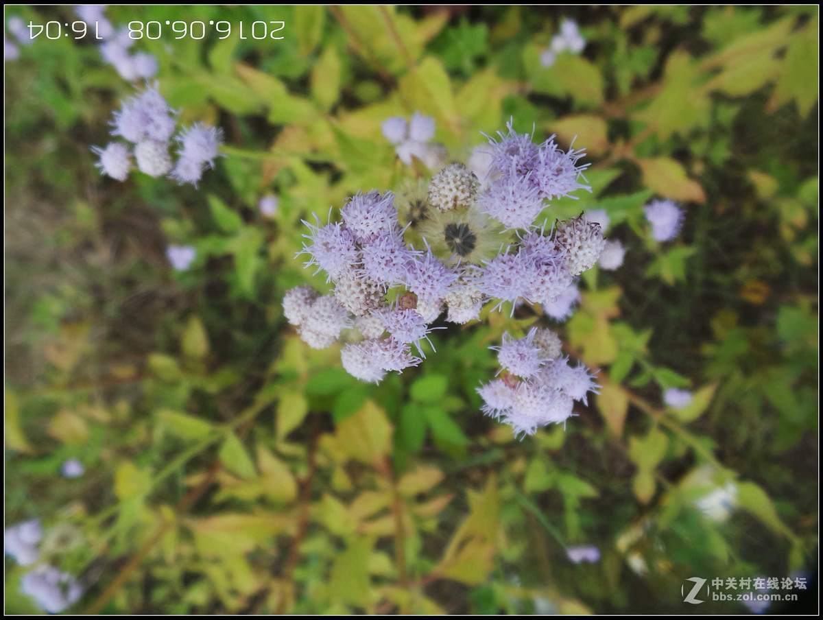 星空体育平台GC100已经满足不了我！