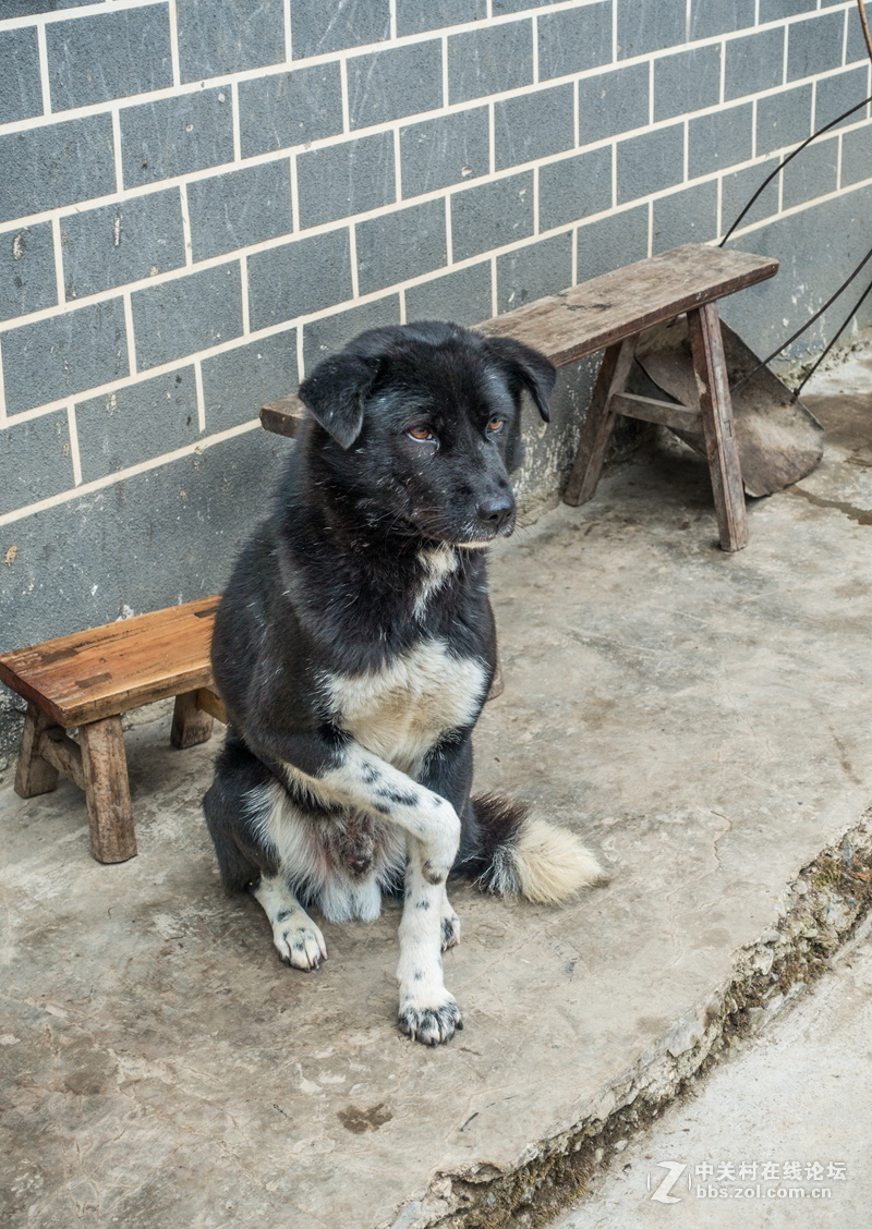 火儿坑与吊锅儿