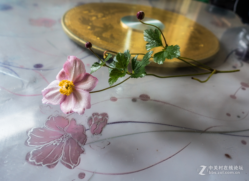 火儿坑与吊锅儿