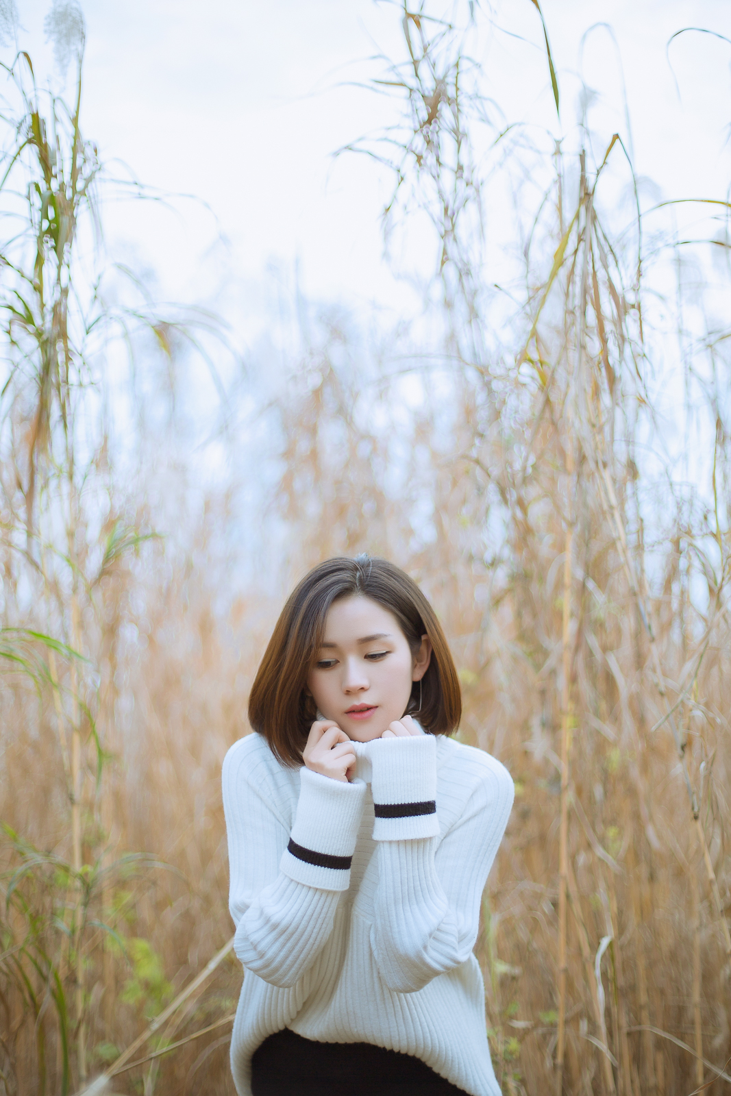 【长川映像】----寻光集