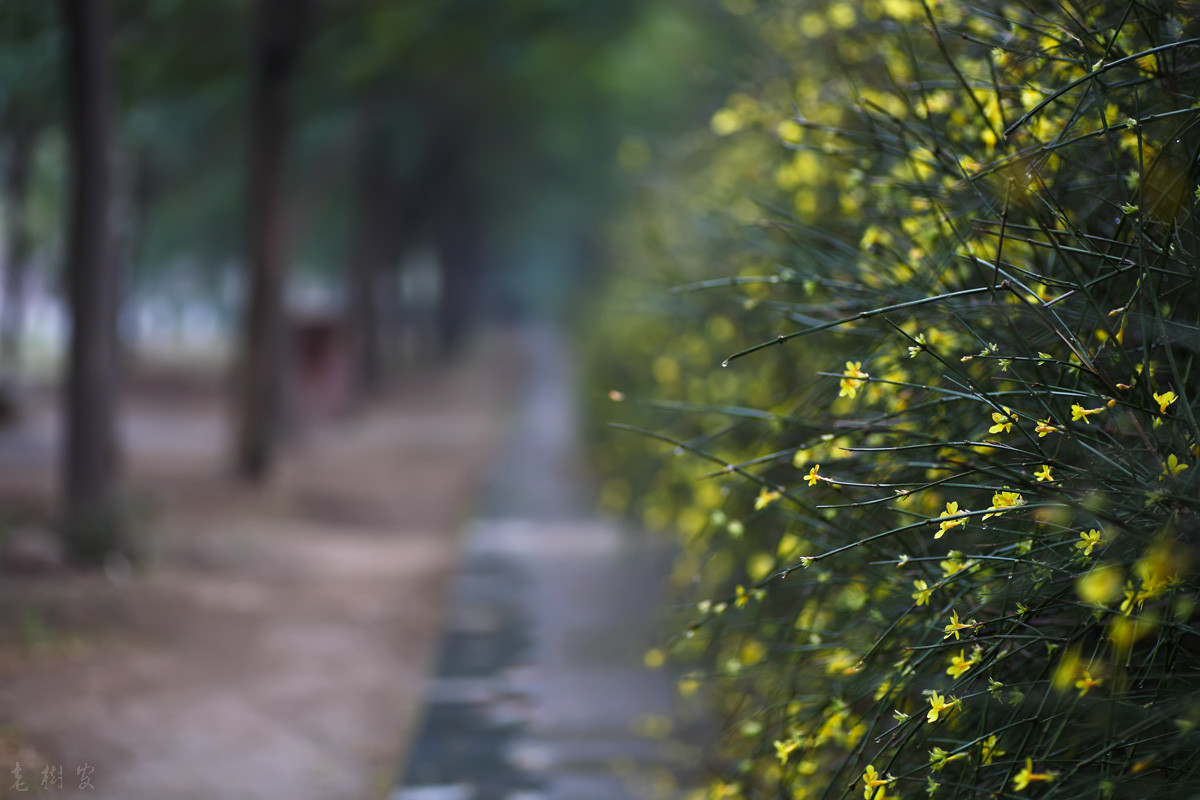 春雨