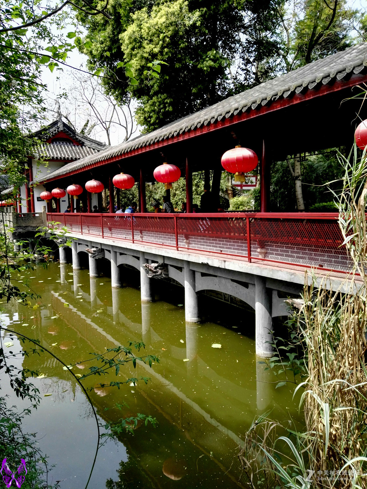 成都文化公园随拍