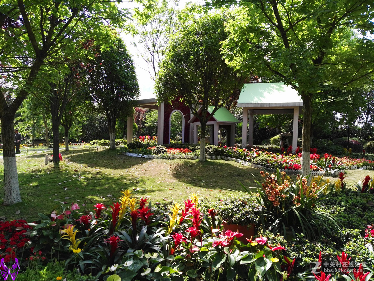 成都文化公园随拍