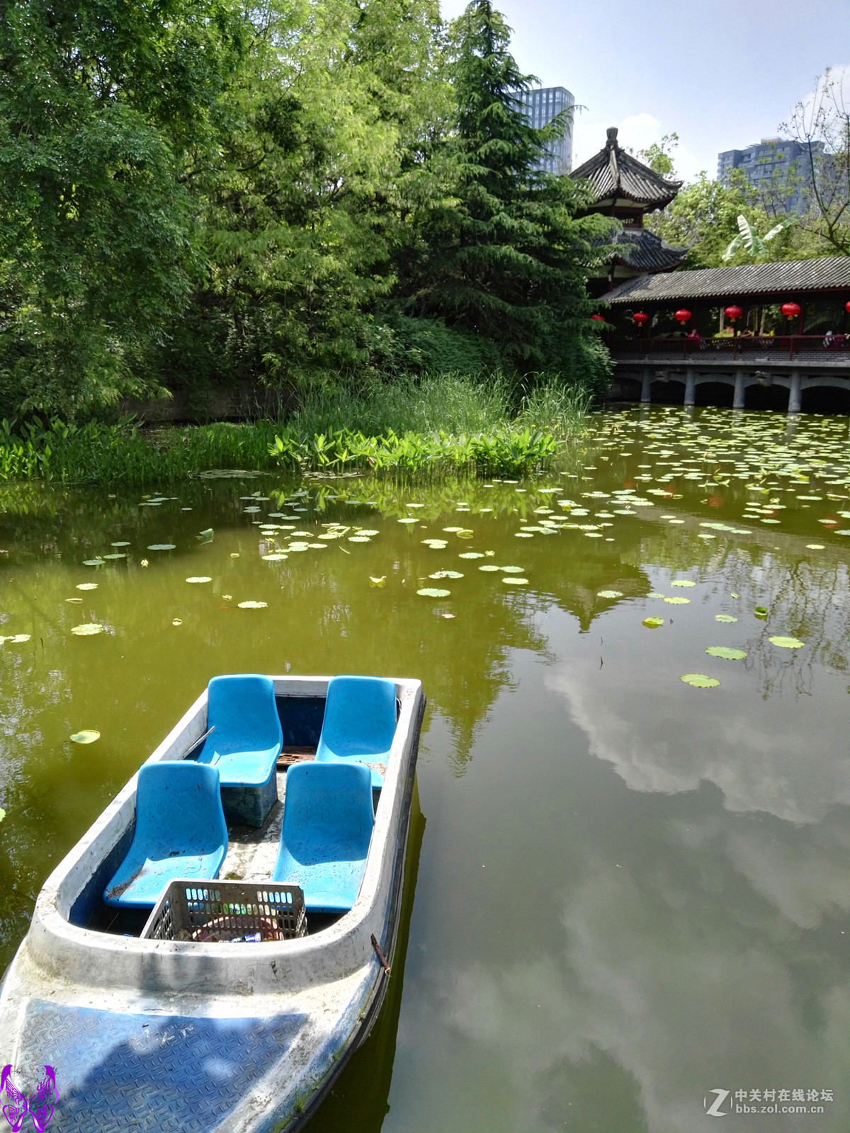 成都文化公园随拍