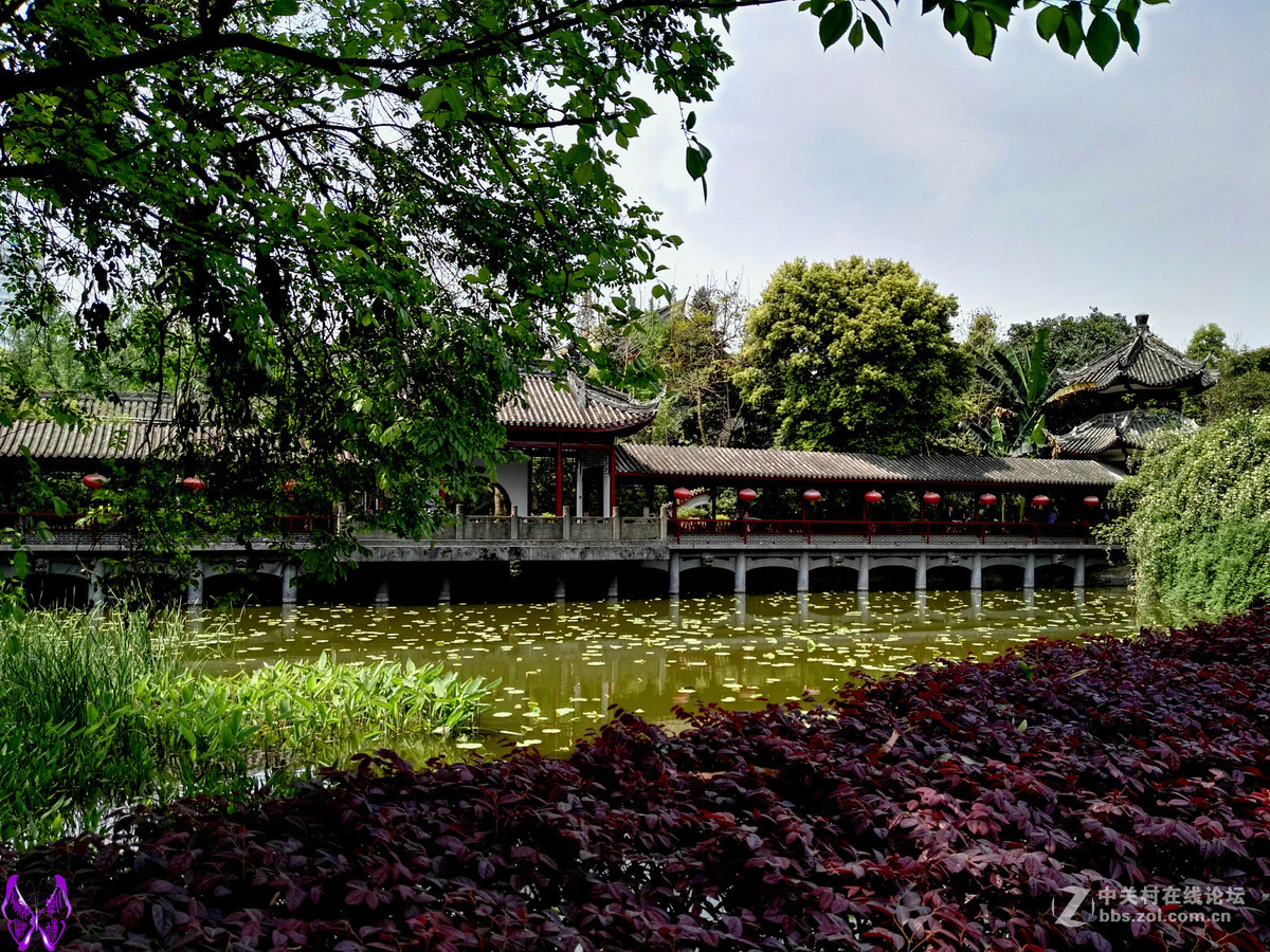 成都文化公园随拍