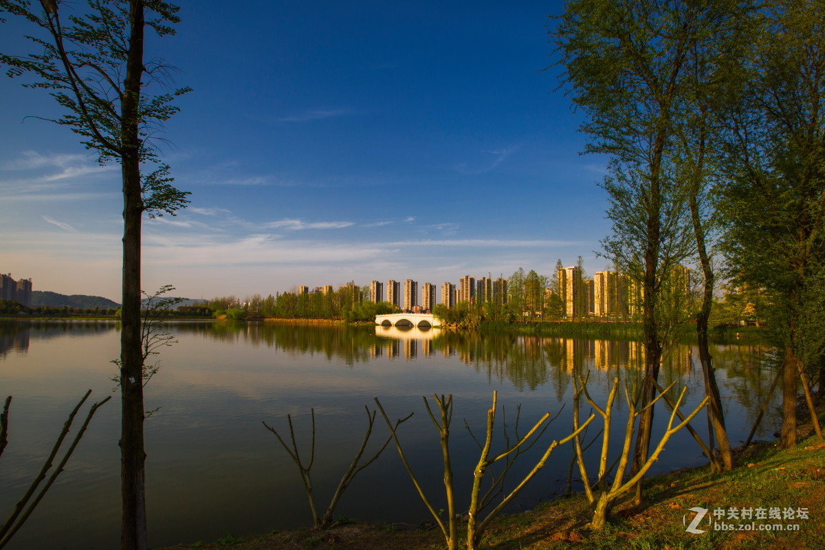 洋湖公園春季風景5